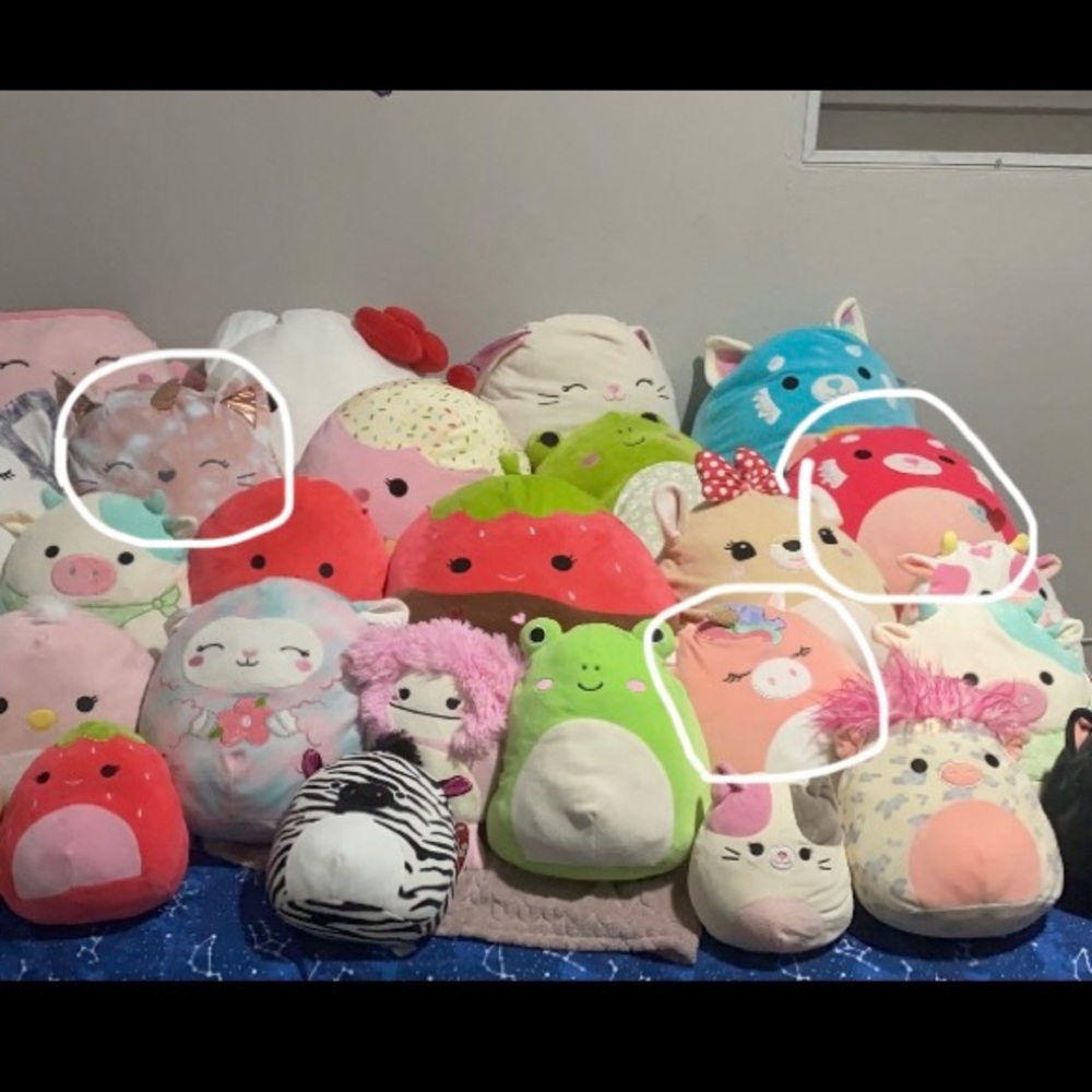 Squishmallow for sale. Ramona, Feodora and ilene
